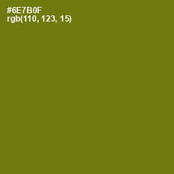 #6E7B0F - Olivetone Color Image