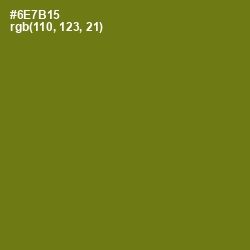 #6E7B15 - Olivetone Color Image
