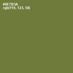 #6E7B3A - Pesto Color Image