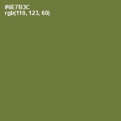 #6E7B3C - Pesto Color Image