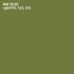 #6E7B3D - Pesto Color Image