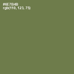 #6E7B4B - Go Ben Color Image