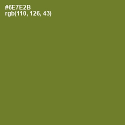 #6E7E2B - Fern Frond Color Image