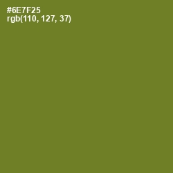 #6E7F25 - Fern Frond Color Image