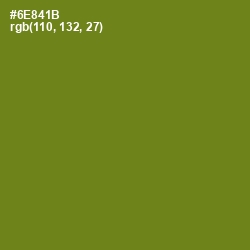 #6E841B - Trendy Green Color Image