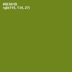 #6E861B - Trendy Green Color Image