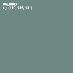 #6E8883 - Blue Smoke Color Image