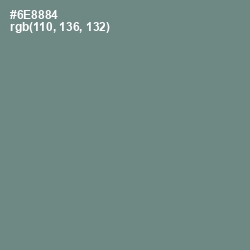 #6E8884 - Blue Smoke Color Image