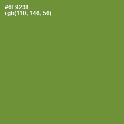 #6E9238 - Olive Drab Color Image