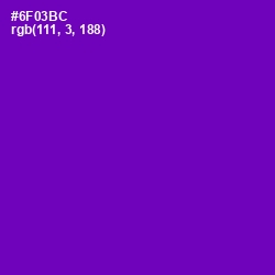#6F03BC - Purple Color Image