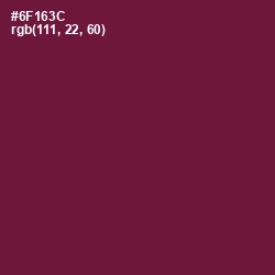 #6F163C - Claret Color Image