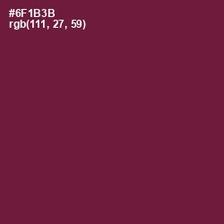 #6F1B3B - Claret Color Image