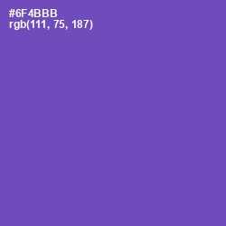 #6F4BBB - Studio Color Image