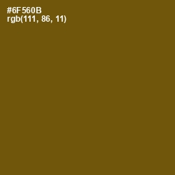 #6F560B - Antique Bronze Color Image