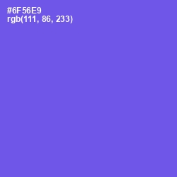 #6F56E9 - Blue Marguerite Color Image