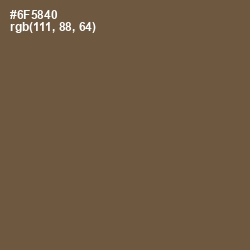 #6F5840 - Tobacco Brown Color Image