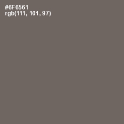 #6F6561 - Flint Color Image