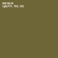 #6F6638 - Yellow Metal Color Image