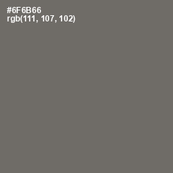 #6F6B66 - Flint Color Image