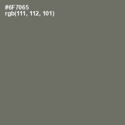 #6F7065 - Flint Color Image