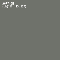 #6F716B - Dove Gray Color Image