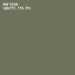 #6F725B - Willow Grove Color Image