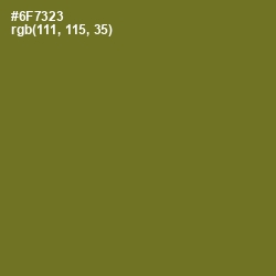 #6F7323 - Fern Frond Color Image