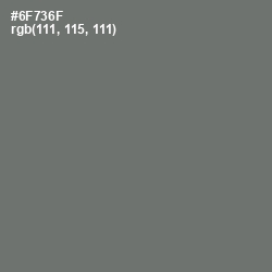 #6F736F - Dove Gray Color Image