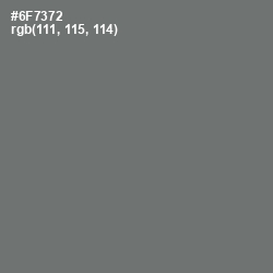 #6F7372 - Dove Gray Color Image