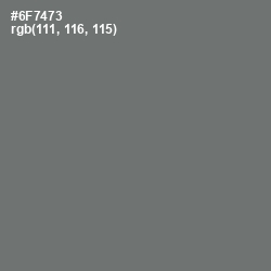 #6F7473 - Dove Gray Color Image