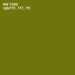 #6F750B - Olivetone Color Image