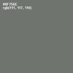 #6F756E - Dove Gray Color Image