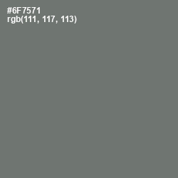 #6F7571 - Dove Gray Color Image