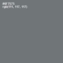 #6F7575 - Tapa Color Image