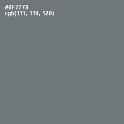 #6F7778 - Boulder Color Image