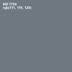 #6F7780 - Pale Sky Color Image