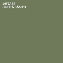 #6F7A5B - Willow Grove Color Image