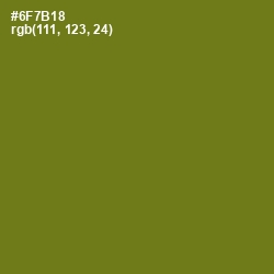 #6F7B18 - Olivetone Color Image