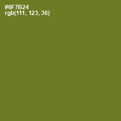 #6F7B24 - Fern Frond Color Image