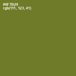 #6F7B29 - Fern Frond Color Image