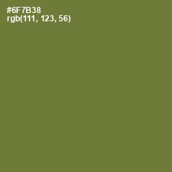 #6F7B38 - Pesto Color Image