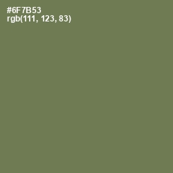 #6F7B53 - Willow Grove Color Image