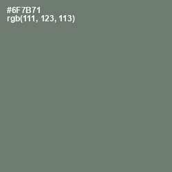 #6F7B71 - Tapa Color Image