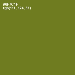 #6F7C1F - Olivetone Color Image