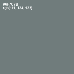 #6F7C7B - Boulder Color Image