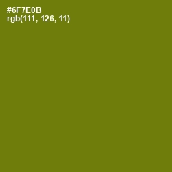 #6F7E0B - Olivetone Color Image