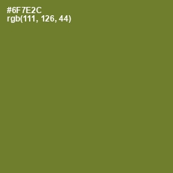 #6F7E2C - Fern Frond Color Image