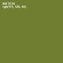 #6F7E30 - Crete Color Image