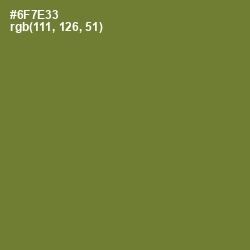 #6F7E33 - Crete Color Image