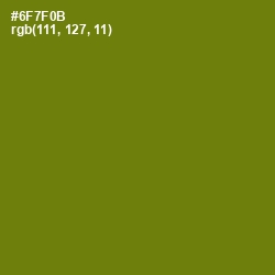 #6F7F0B - Olivetone Color Image